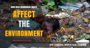 Biomedical Waste's Environmental Impact: Risks, Pollution, and Sustainable Solutions