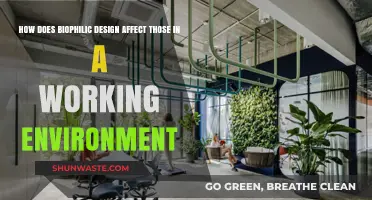 Biophilic Design: Boosting Productivity and Well-being in the Workplace