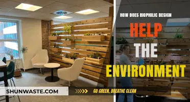 Biophilic Design: Enhancing Ecosystems and Promoting Environmental Sustainability