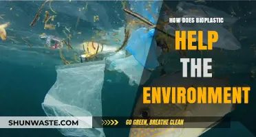 Bioplastics: Eco-Friendly Solutions Reducing Pollution and Protecting Our Planet