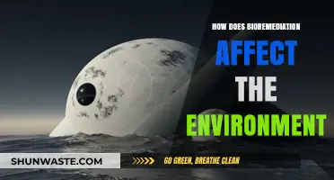 Bioremediation's Impact: Restoring Ecosystems and Protecting Our Environment