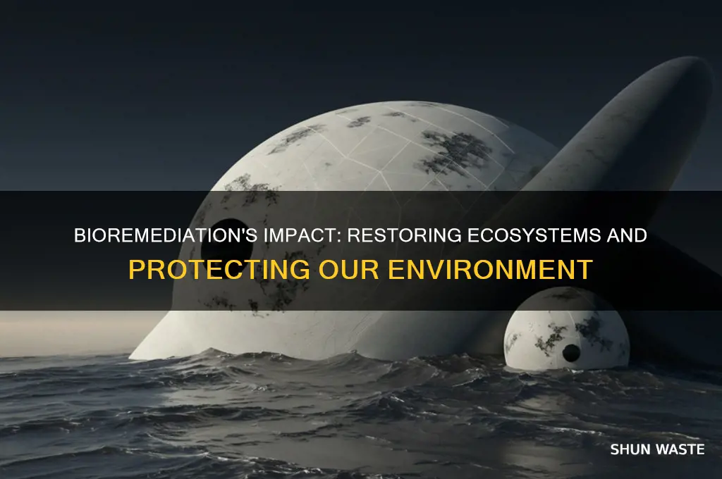 how does bioremediation affect the environment