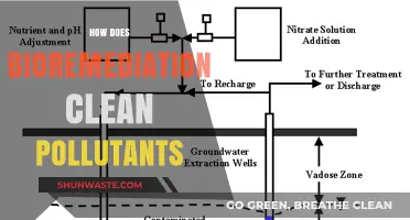 Nature's Clean-up: Bioremediation's Power Over Pollutants