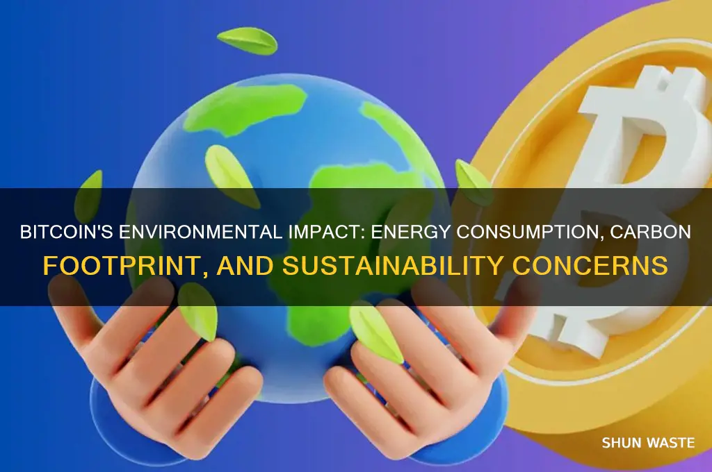 how does bitcoin affect environment