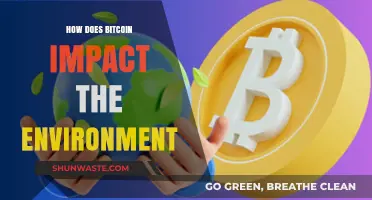 Bitcoin's Environmental Footprint: Energy Consumption, Carbon Emissions, and Sustainability Challenges