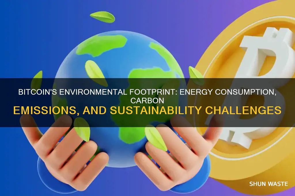 how does bitcoin impact the environment