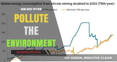 Bitcoin's Environmental Impact: Energy Consumption and Pollution