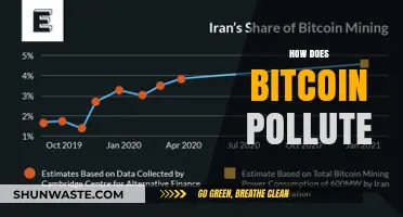 The Dark Side of Bitcoin: Energy and Pollution