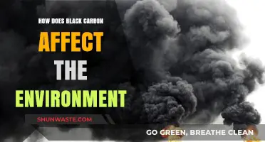Black Carbon's Environmental Impact: Climate, Health, and Ecosystem Consequences