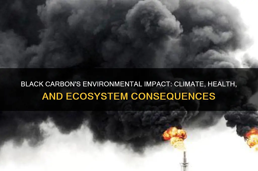 how does black carbon affect the environment