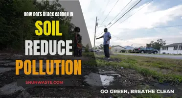 Black Carbon's Soil Solution to Pollution