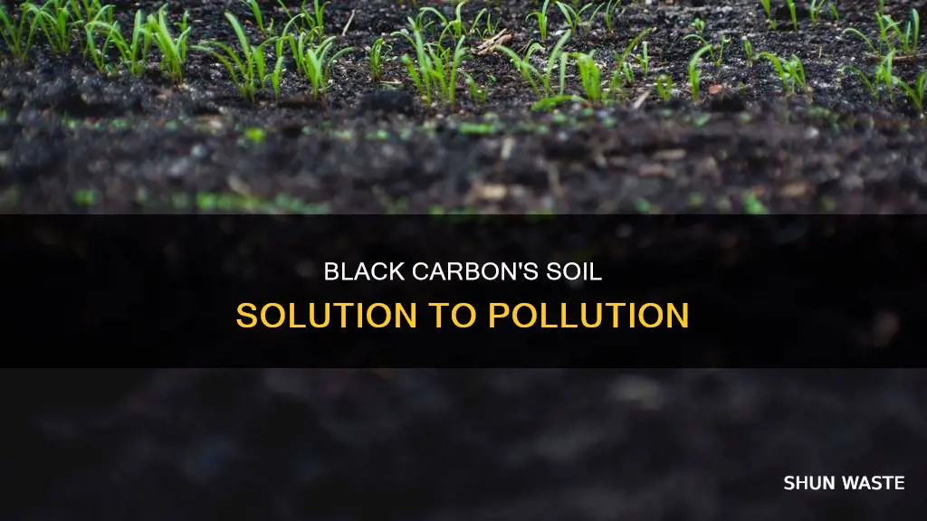 how does black carbon in soil reduce pollution