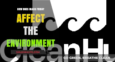Black Friday's Environmental Impact: Consumption, Waste, and Sustainability Challenges