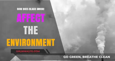Black Smoke's Environmental Impact: Pollution, Climate, and Health Consequences