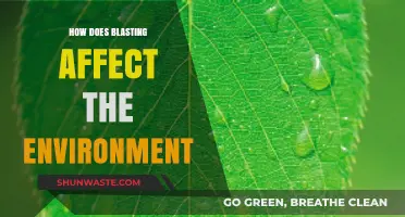 Environmental Impact of Blasting: Effects on Ecosystems and Wildlife