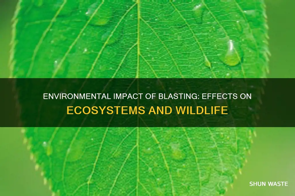 how does blasting affect the environment