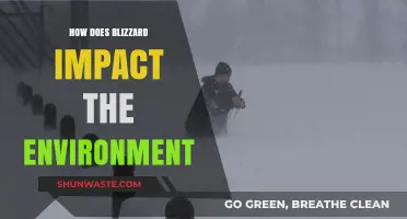 Blizzard's Environmental Impact: Snow, Ice, and Ecosystem Disruption Explained