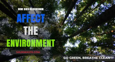 Blockchain's Environmental Impact: Sustainable Innovation or Ecological Challenge?