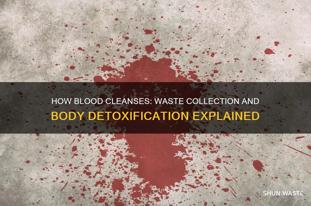 how does blood collect waste from the body