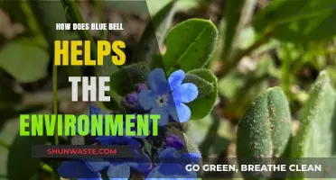Blue Bell's Eco-Friendly Initiatives: Protecting Our Planet, One Step at a Time