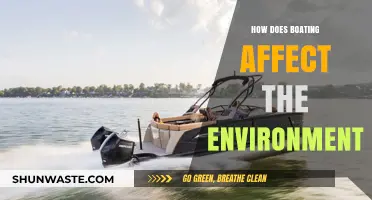 Boating's Environmental Impact: Exploring the Effects on Ecosystems and Wildlife