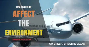 Boeing's Environmental Impact: Sustainability Challenges and Green Aviation Initiatives
