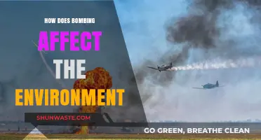 Bombing's Devastating Impact: Environmental Consequences and Long-Term Effects