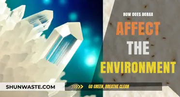 Borax's Environmental Impact: Understanding Its Effects on Ecosystems and Wildlife