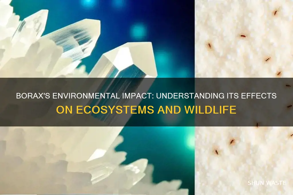 how does borax affect the environment