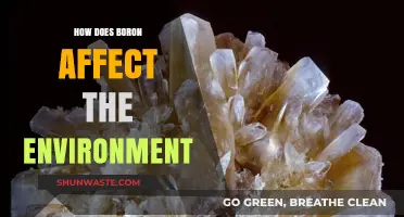 Boron's Environmental Impact: Effects on Ecosystems, Water, and Soil Health
