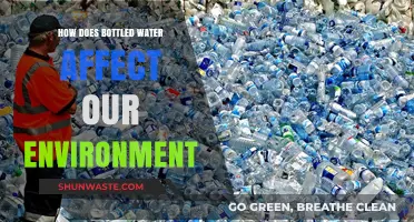 Bottled Water's Environmental Impact: Uncovering Hidden Costs and Consequences