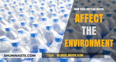 Bottled Water's Environmental Impact: Uncovering the Hidden Ecological Costs