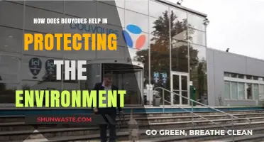 Bouygues' Eco-Friendly Initiatives: Protecting Our Planet Through Sustainable Practices