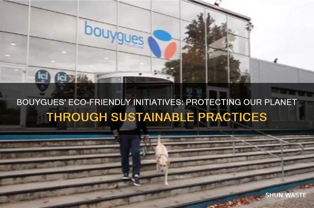 how does bouygues help in protecting the environment