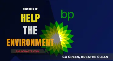 BP's Environmental Initiatives: Sustainable Practices and Green Energy Solutions