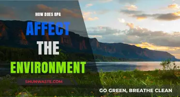 BPA's Environmental Impact: Pollution, Wildlife Disruption, and Ecosystem Threats
