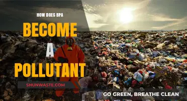 BPA's Journey: From Useful to Harmful Pollutant