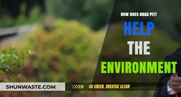 Brad Pitt's Green Impact: Sustainable Initiatives and Environmental Advocacy