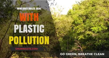 Brazil's Battle Against Plastic Pollution