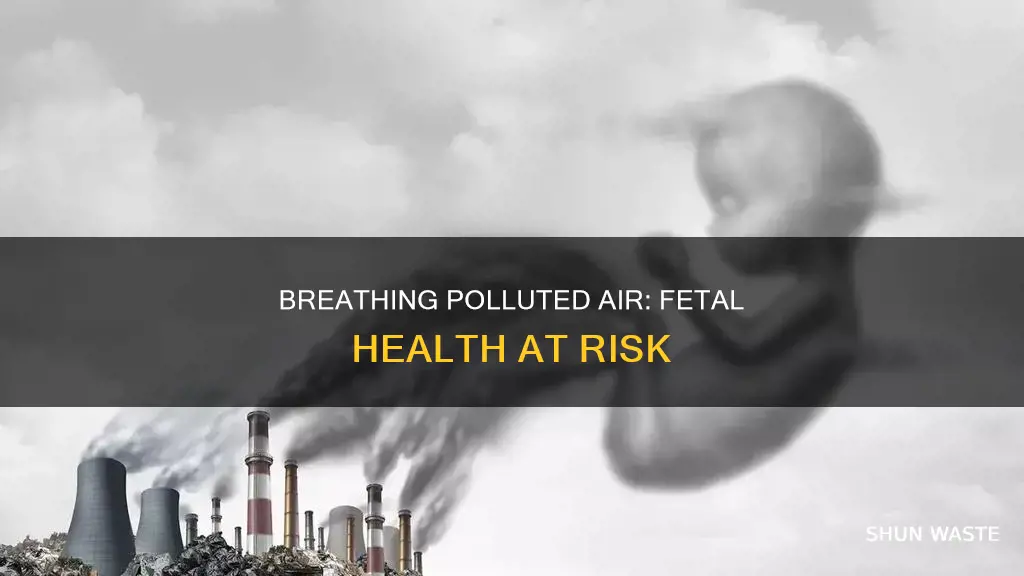 how does breathing in air pollution affect a fetus