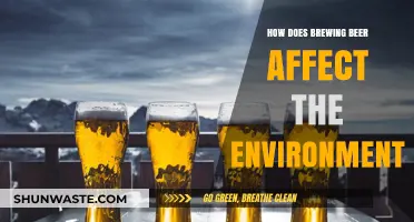 Brewing Beer's Environmental Impact: Sustainability Challenges and Solutions