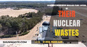 Brunswick Nuclear Plant's Waste Disposal Methods: Environmental Impact and Safety