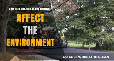 Road Construction's Environmental Impact: Habitat Loss, Pollution, and Ecosystem Disruption