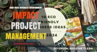 Navigating Project Success: The Business Environment's Crucial Impact