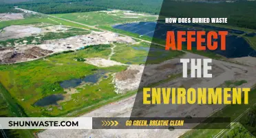 Buried Waste's Environmental Impact: Soil, Water, and Ecosystem Consequences