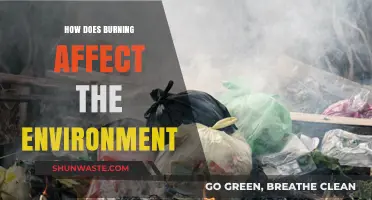 Burning's Impact: Environmental Consequences and Long-Term Effects on Our Planet