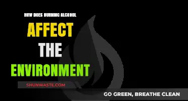 Burning Alcohol's Environmental Impact: Emissions, Pollution, and Sustainability Concerns