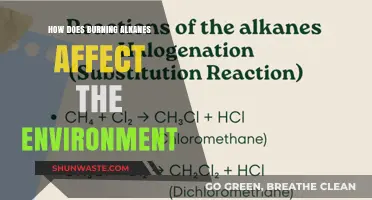 Burning Alkanes: Environmental Impacts and Sustainable Alternatives Explored
