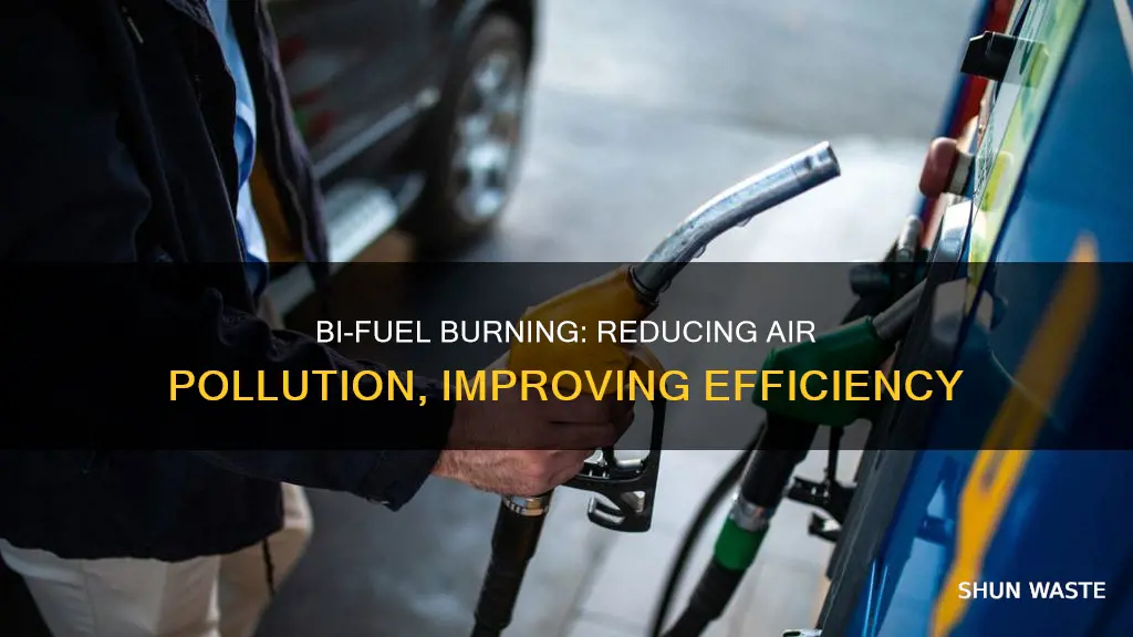 how does burning bifuel reduce air pollution