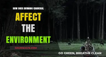 Charcoal Burning's Environmental Impact: Air, Soil, and Climate Consequences